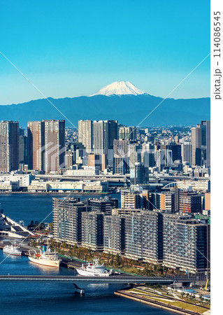 View of Mount Fuji from Tokyo View of Mount Fuji from Tokyo 114086545