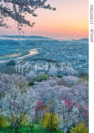 春真っ盛りの船岡城址公園 114087062