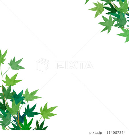 もみじ水彩画風イラストフレーム背景 もみじ水彩画風イラストフレーム背景 114087254