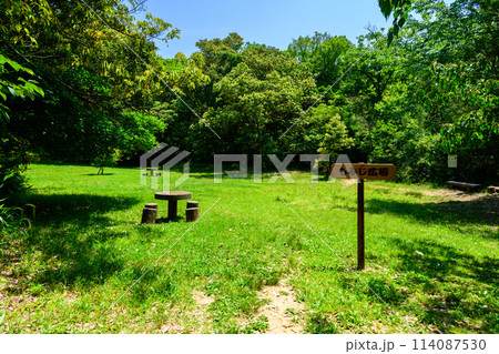 もみじ広場 モミジバフウとタイワンフウを植えた広場です。篠栗九大の森(水辺の森)(福岡県篠栗町) 114087530