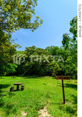 もみじ広場 モミジバフウとタイワンフウを植えた広場です。篠栗九大の森(水辺の森)(福岡県篠栗町) 114087531