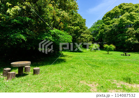 もみじ広場 モミジバフウとタイワンフウを植えた広場です。篠栗九大の森(水辺の森)(福岡県篠栗町) 114087532