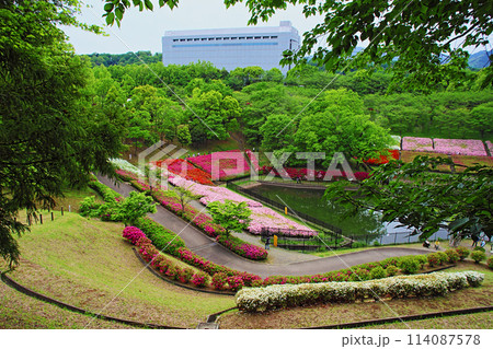 あつぎつつじの丘公園3 114087578