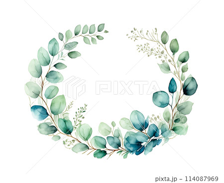枝葉の爽やかな楕円形フレーム（ユーカリのイメージ） 114087969