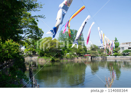 碑文谷公園 114088164