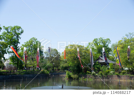 碑文谷公園 114088217