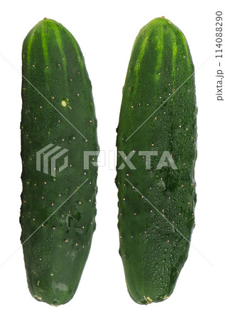 Fresh green cucumbers 114088290