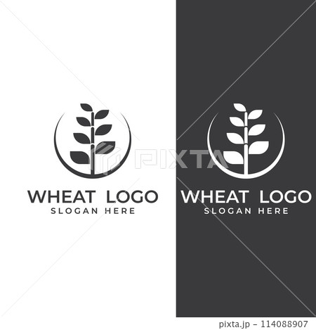 Wheat or cereal logo, wheat field and wheat farm logo.With easy and simple editing illustrations. 114088907