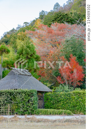 京都市右京区の嵯峨野　嵯峨鳥居本北代町（伝統的建造物群保存地区）古民家　茅葺屋根 114089102