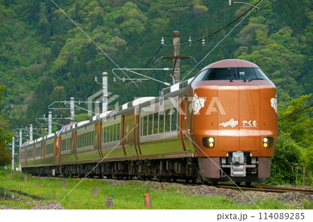 ニューカマー登場 ニューカマー登場 114089285