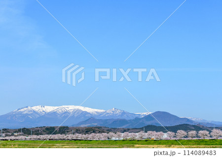 おおがわら桜ライン 宮城県 大河原町 114089483