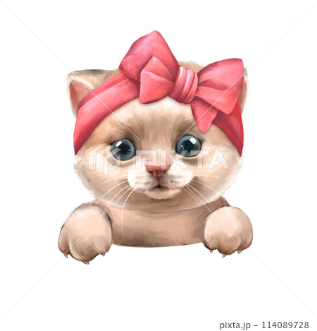 Kitten Cute illustration of white cat with pink bow. 114089728