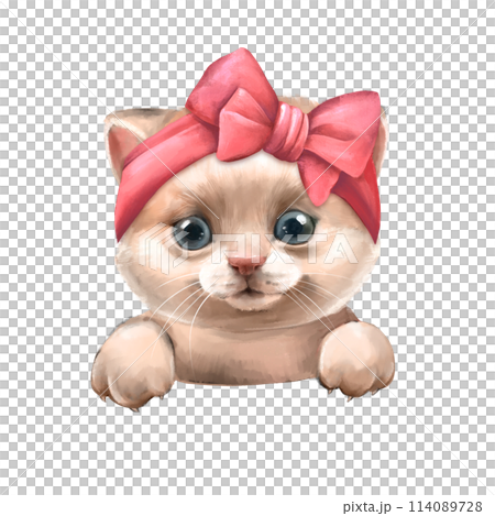 Kitten Cute illustration of white cat with pink bow. 114089728