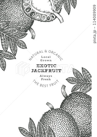 Hand drawn sketch style jackfruit banner. Organic fresh fruit vector illustration. Retro breadfruit design template 114089909