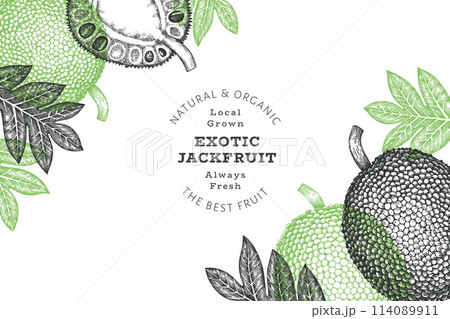 Hand drawn sketch style jackfruit banner. Organic fresh fruit vector illustration. Retro breadfruit design template Hand drawn sketch style jackfruit banner. Organic fresh fruit vector illustration. Retro breadfruit design template 114089911