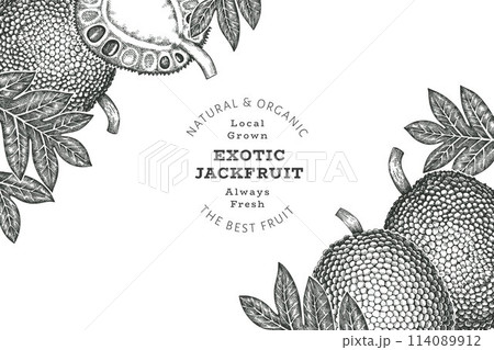 Hand drawn sketch style jackfruit banner. Organic fresh fruit vector illustration. Retro breadfruit design template 114089912