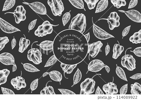 Hand drawn sketch style scotch bonnet pepper banner. Organic fresh vegetable vector illustration on chalk board. Retro cayenne pepper design template Hand drawn sketch style scotch bonnet pepper banner. Organic fresh vegetable vector illustration on chalk board. Retro cayenne pepper design template 114089922