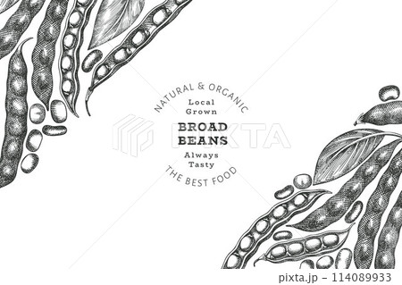 Hand drawn broad beans design template. Organic fresh food vector illustration. Retro pods illustration. Engraved botanical style cereal background. 114089933