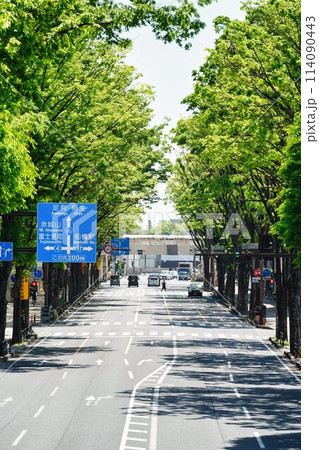 群馬県高崎市国道50号けやき通り 114090443