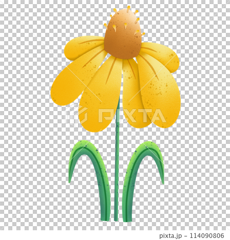 Yellow flower illustration 114090806