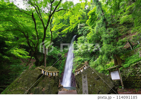 鮮やかな新緑『養老の滝・岐阜県』 鮮やかな新緑『養老の滝・岐阜県』 114091185