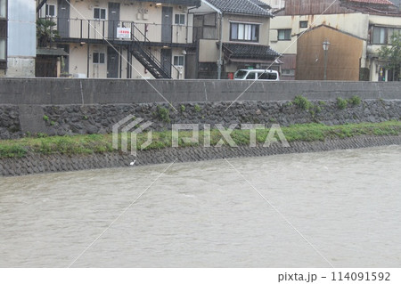金沢の増水した浅野川 114091592