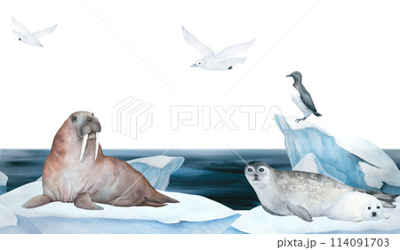 Seamless frame of banner with walrus, seal, guillemot and seagull watercolor illustration on ice , iceberg and blue sea on background. Horizontal format, for children wallpaper and room decor Seamless frame of banner with walrus, seal, guillemot and seagull watercolor illustration on ice , iceberg and blue sea on background. Horizontal format, for children wallpaper and room decor 114091703