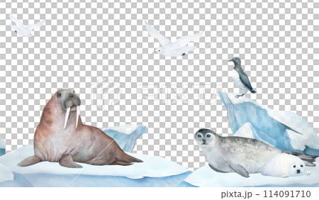 Seamless frame of banner with walrus, seal, guillemot and seagull watercolor illustration on ice , iceberg on background. Horizontal format, for children wallpaper and room decor 114091710