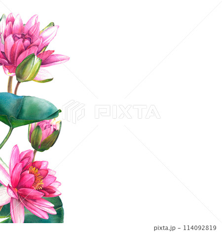 Frame of pink water lily flowers with place for text. Hand drawn watercolor illustration of lotus on isolated background. Bouquet of exotic greenery for spa, zen or wedding design. Botanical drawing. Frame of pink water lily flowers with place for text. Hand drawn watercolor illustration of lotus on isolated background. Bouquet of exotic greenery for spa, zen or wedding design. Botanical drawing. 114092819