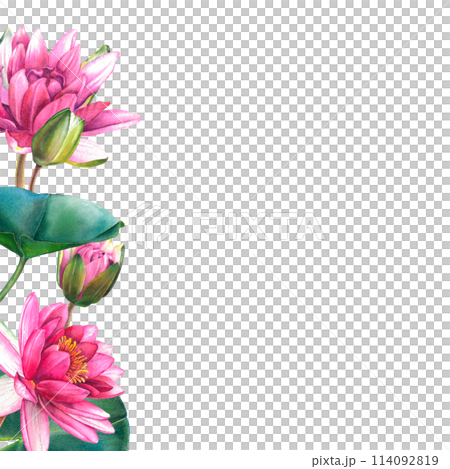 Frame of pink water lily flowers with place for text. Hand drawn watercolor illustration of lotus on isolated background. Bouquet of exotic greenery for spa, zen or wedding design. Botanical drawing. Frame of pink water lily flowers with place for text. Hand drawn watercolor illustration of lotus on isolated background. Bouquet of exotic greenery for spa, zen or wedding design. Botanical drawing. 114092819