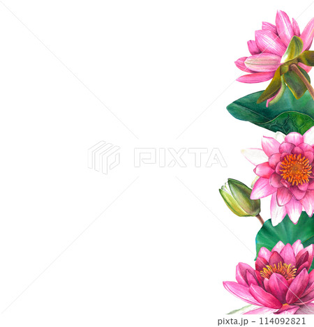 Frame of pink water lily flowers with place for text. Hand drawn watercolor illustration of lotus on isolated background. Bouquet of exotic greenery for spa, zen or wedding design. Botanical drawing. Frame of pink water lily flowers with place for text. Hand drawn watercolor illustration of lotus on isolated background. Bouquet of exotic greenery for spa, zen or wedding design. Botanical drawing. 114092821