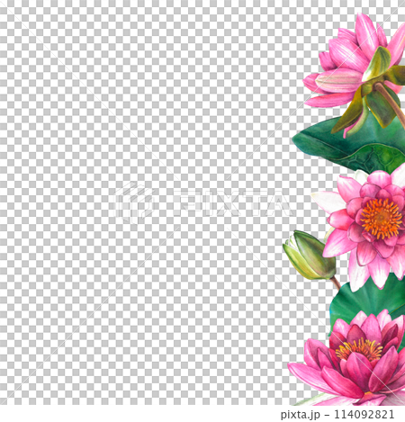 Frame of pink water lily flowers with place for text. Hand drawn watercolor illustration of lotus on isolated background. Bouquet of exotic greenery for spa, zen or wedding design. Botanical drawing. Frame of pink water lily flowers with place for text. Hand drawn watercolor illustration of lotus on isolated background. Bouquet of exotic greenery for spa, zen or wedding design. Botanical drawing. 114092821