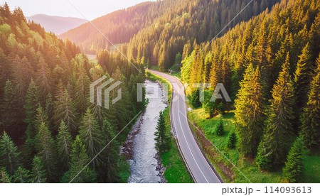 View of road in beautiful green forest atsunset in summer.colorful landscape 114093613
