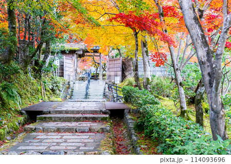 京都市左京区嵯峨の化野念仏寺（あだし野念仏寺）　山門の紅葉 114093696