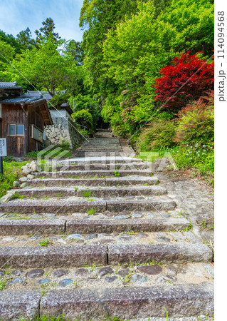 奈良県高取町 第三十五代皇極天皇 第三十七代斉明天皇 越智崗上陵の参道 奈良県高取町 第三十五代皇極天皇 第三十七代斉明天皇 越智崗上陵の参道 114094568