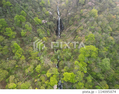 新緑の宮城蔵王　空撮 114095874