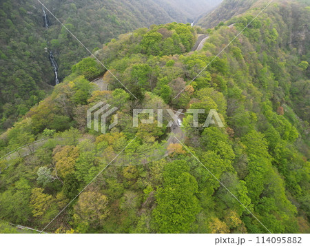 新緑の宮城蔵王　空撮 114095882