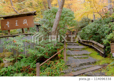 京都市右京区嵯峨の祇王寺（尼寺　往生院）祇王の庵　参道の紅葉 114096338