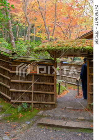 京都市右京区嵯峨の祇王寺（尼寺　往生院）祇王の庵　参拝口の紅葉 114096342