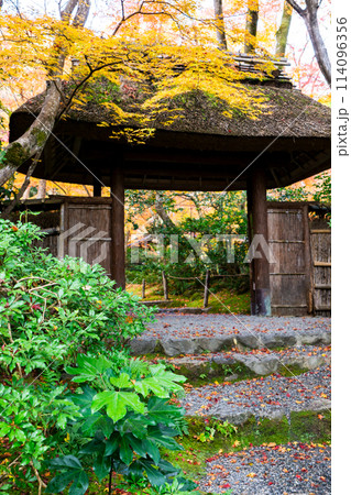 京都市右京区嵯峨の祇王寺（尼寺　往生院）祇王の庵　山門の紅葉 114096356