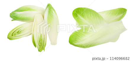 Chicory salad isolated on white background with  full depth of field. Top view. Flat lay 114096682