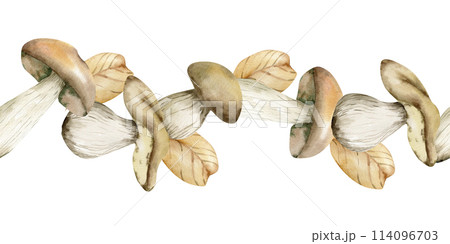 Autumn mushrooms with colorfull leaves seamless border. Hand drawn brown fungus, boletus edulis banner for home decor, kithen textile, stationery design. Fall arrangement. Cozy floral set Autumn mushrooms with colorfull leaves seamless border. Hand drawn brown fungus, boletus edulis banner for home decor, kithen textile, stationery design. Fall arrangement. Cozy floral set 114096703