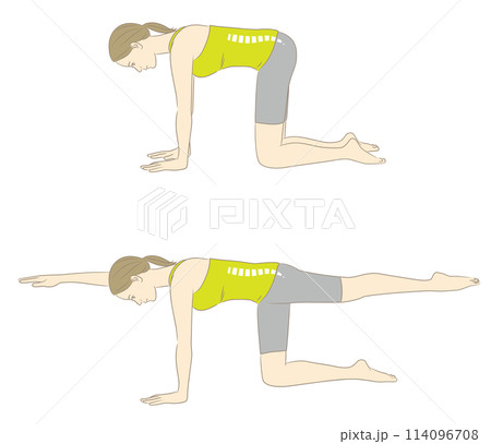 体幹バランス、対角線手足伸ばし、体幹トレーニングをする女性 114096708
