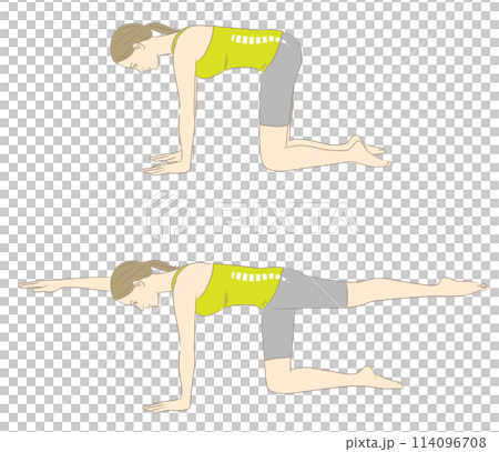 体幹バランス、対角線手足伸ばし、体幹トレーニングをする女性 114096708