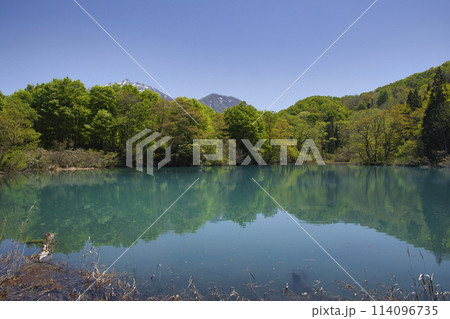 美しいしろ池と雨飾山　新潟県糸魚川市 114096735