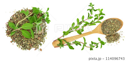 Oregano or marjoram leaves fresh and dry isolated on white background . Top view. Flat lay Oregano or marjoram leaves fresh and dry isolated on white background . Top view. Flat lay 114096743