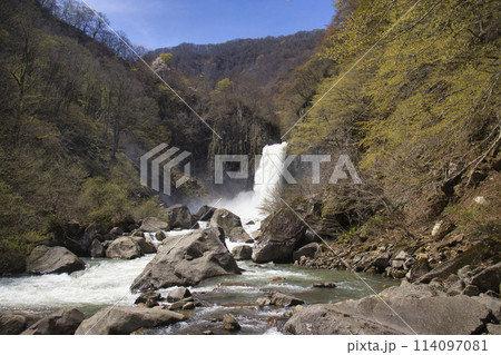 壮大な苗名滝(雷滝) 新潟県妙高市 壮大な苗名滝(雷滝) 新潟県妙高市 114097081