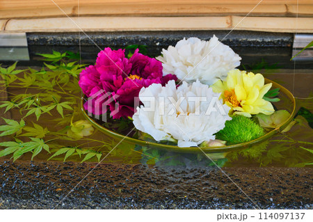 西新井大師 美しい花手水(東京都足立区) 西新井大師 美しい花手水(東京都足立区) 114097137