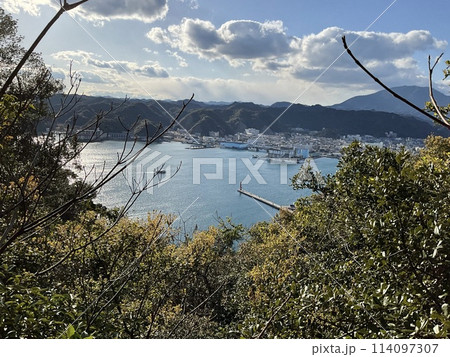 木々の割れ目に見える港町 114097307