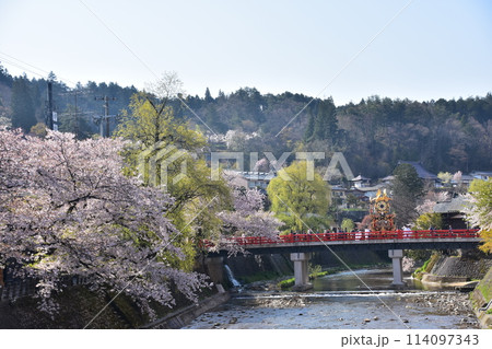 日本の岐阜県高山市　春の高山祭　満開の桜と中橋を渡る屋台　美しい新緑と青空 114097343